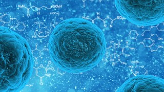 Image for Future Trends in Stem Cell Treatments with ID of: 1327167