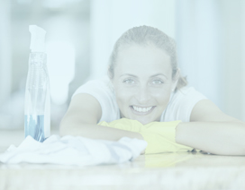 Image for Hourly Clean Club with ID of: 1327298