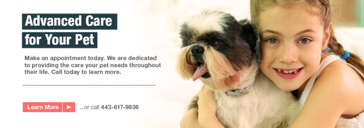 Image for Homeward Bound Mobile Vet with ID of: 1328210