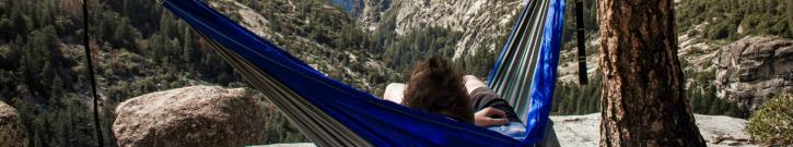 Image for The Hammock Expert with ID of: 1328636