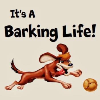 Image for Barking Life Pet Concierge with ID of: 1328802