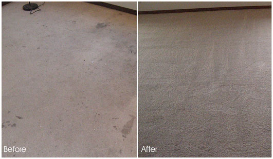 Image for Aliso Viejo Carpet Cleaning with ID of: 1331216