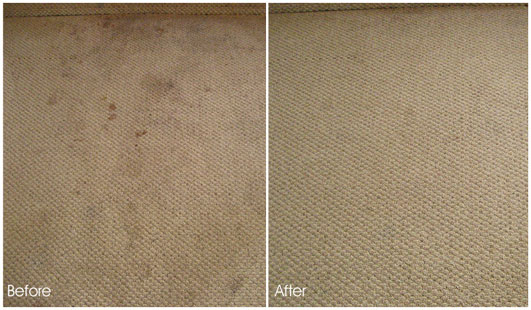 Image for Aliso Viejo Carpet Cleaning with ID of: 1331217