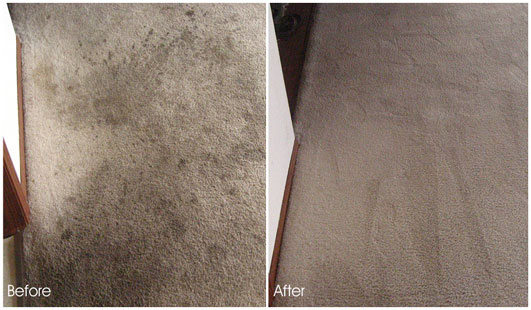 Image for Aliso Viejo Carpet Cleaning with ID of: 1331218