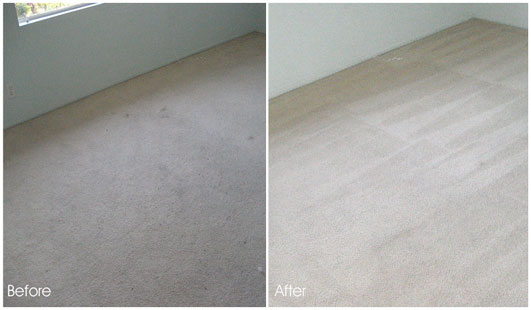 Image for Aliso Viejo Carpet Cleaning with ID of: 1331219