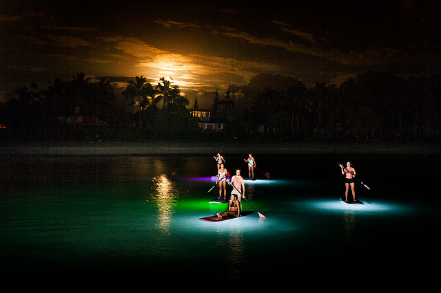 Image for Hanalei Surf School with ID of: 1331932