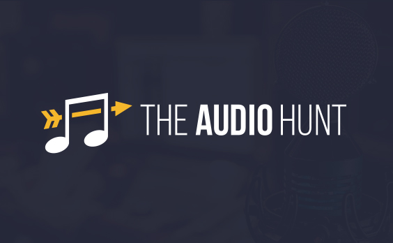 Image for The Audio Hunt with ID of: 1332345