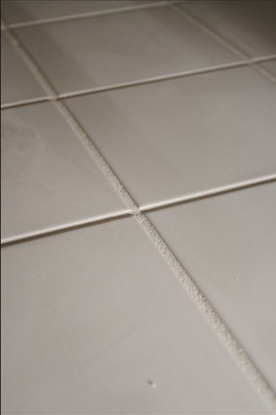 Image for Deland, FL Carpet Cleaning with ID of: 1333622
