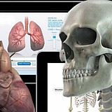 Image for Infuse Medical with ID of: 1334756