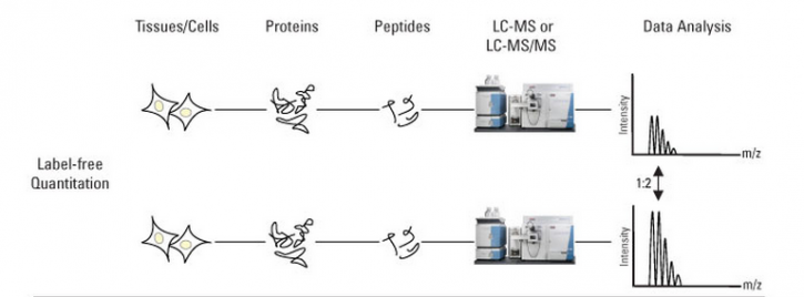 Image for Di-Sulfide Bond Localization analysis with ID of: 1336266