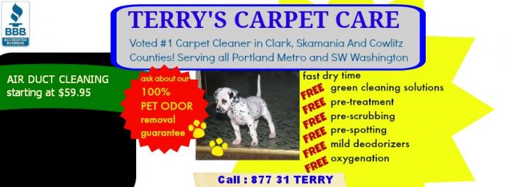 Image for Terry's Carpet Care with ID of: 1336941
