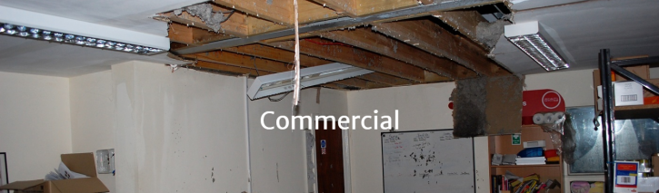 Image for FMW Constructors with ID of: 1337062