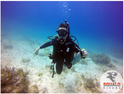 Image for Squalo Divers with ID of: 1337359