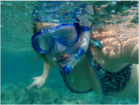 Image for Squalo Divers with ID of: 1337360