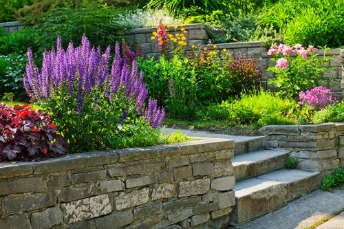 Image for Roger's Gardening Services with ID of: 1337430