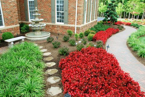 Image for Roger's Gardening Services with ID of: 1337431