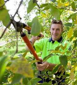 Image for Danbury Tree Pros with ID of: 1337627