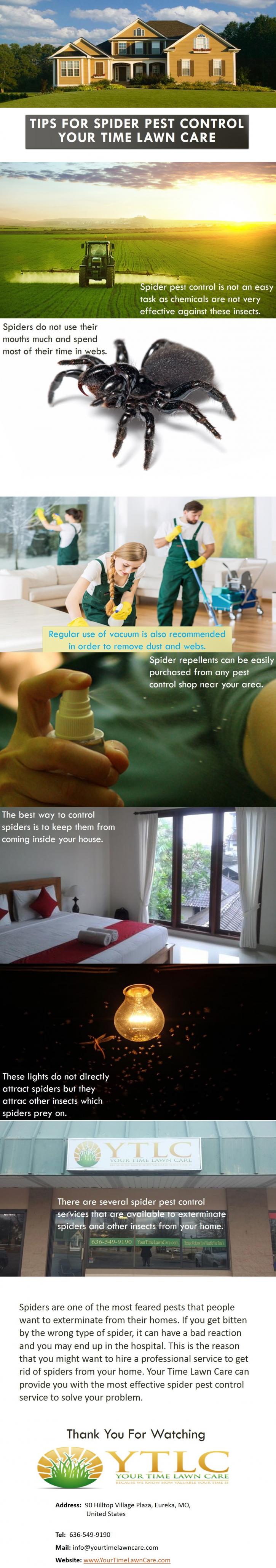 Image for Tips for Spider Pest Control Your Time Lawn Care with ID of: 1338203