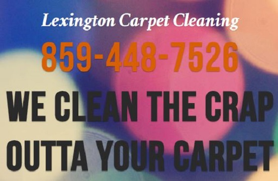 Image for Lexington Carpet Cleaning with ID of: 1338931