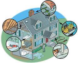 Image for Apex Investments LLC with ID of: 1339731