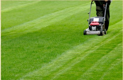 Image for Arvada Lawn care Services with ID of: 1340478