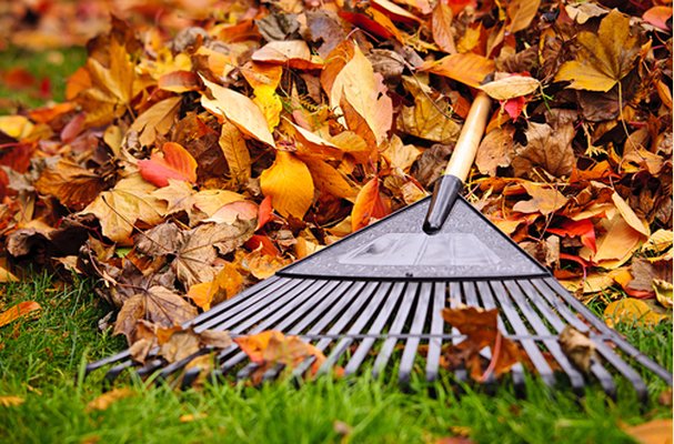 Image for Arvada Lawn care Services with ID of: 1340481