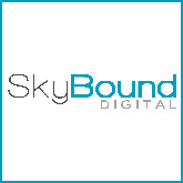 Image for Skybound Digital LLC with ID of: 1340911