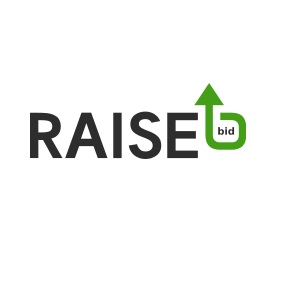 Image for Raise Bid with ID of: 1342655