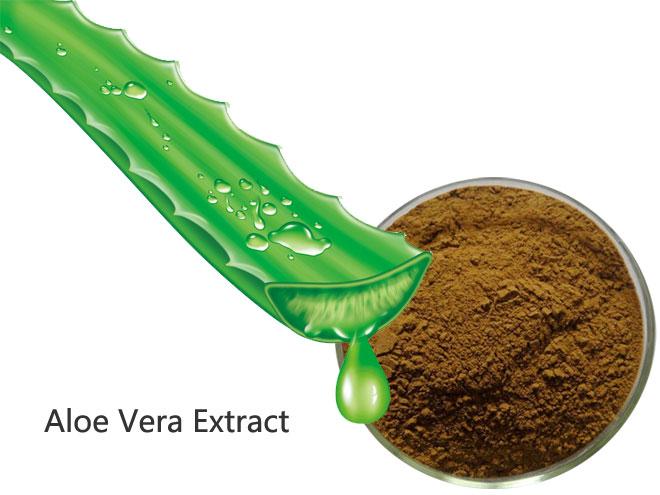 Image for Aloe Vera Extracts Market Report Analysis and Opportunities Upto 2022 with ID of: 1345345