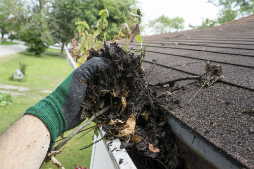 Image for Gutter Boise with ID of: 1345780