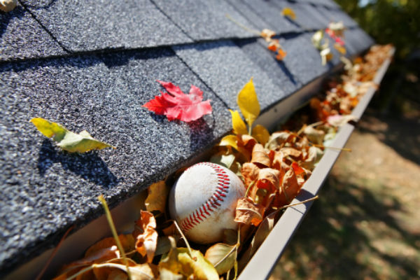 Image for Gutter Boise with ID of: 1345781