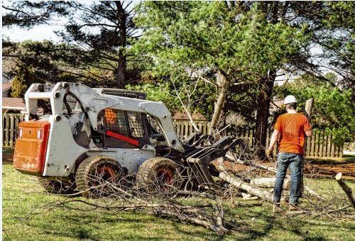 Image for Weymouth Tree Removal with ID of: 1346070