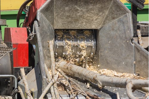 Image for Weymouth Tree Removal with ID of: 1346071