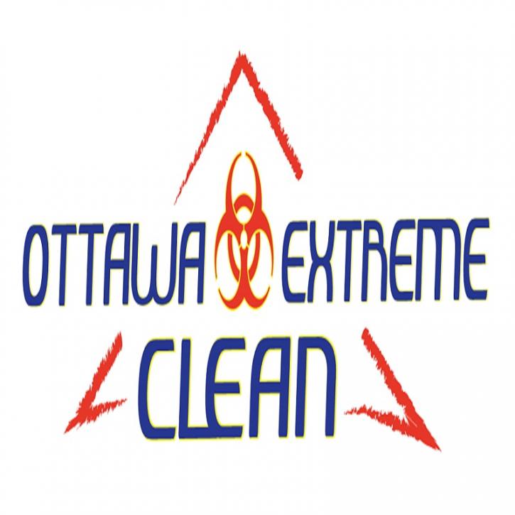Image for Carpet Cleaning Ottawa - Save Money And Avoid Replacing Your Carpet with ID of: 1346215