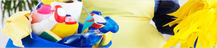 Image for A1 Cleaning Maids with ID of: 1346720