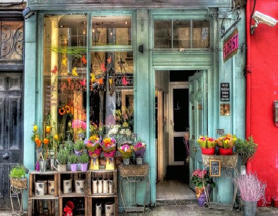 Image for Bloomhauz with ID of: 1347288
