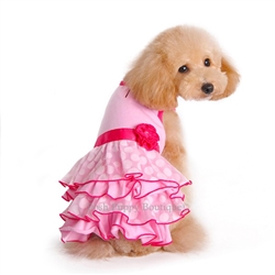 Image for Posh Puppy Boutique with ID of: 1347462