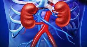 Image for Kidney Function Tests Market - Global Industry Perspective, Comprehensive Analysis and Forecast, 2015 – 2021 with ID of: 1347623