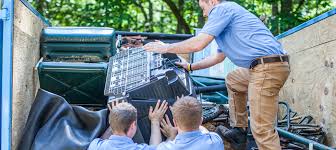 Image for Haul away junk services with ID of: 1348132