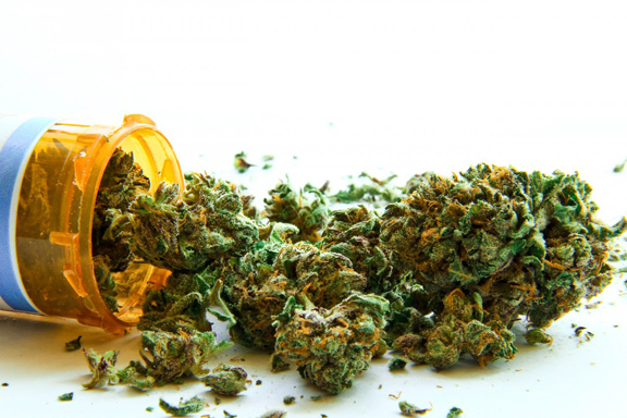 Image for Finddankweed Find A Marijuana Doctor with ID of: 1349001