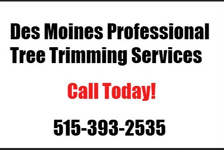 Image for Des Moines Professional Tree Trimming Services with ID of: 1349393