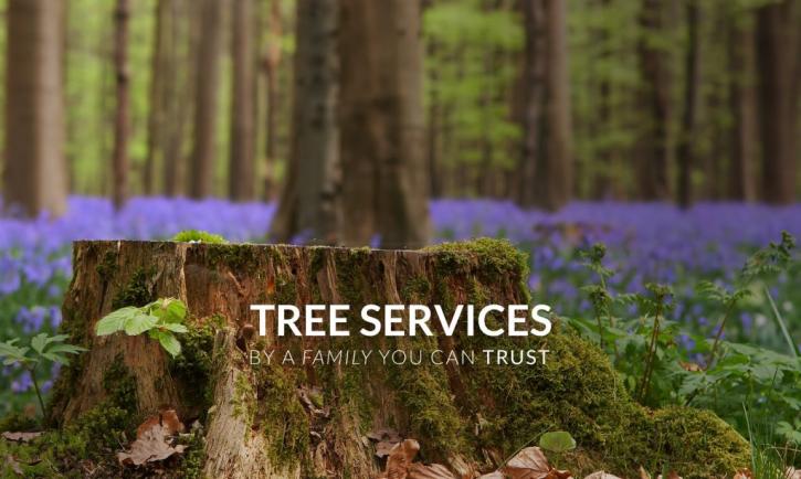 Image for Bruder Tree & Landscape Services with ID of: 1353020