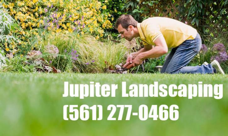 Image for Jupiter Landscaping with ID of: 1353777