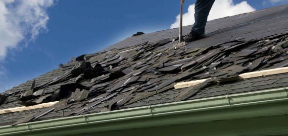 Image for Professional Roofing Experts with ID of: 1354424