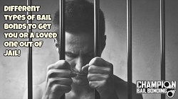 Image for Champion Bail Bonding with ID of: 1354844