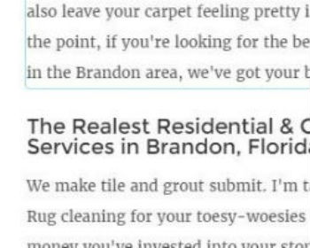 Image for Brandon’s Carpet Cleaning Machine with ID of: 1355011