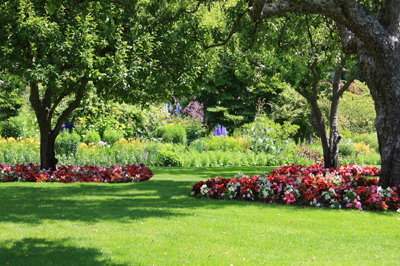 Image for Beachside Lawn Maintenance with ID of: 1355725