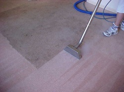 Image for Rock Hill Carpet Cleaners with ID of: 1357379