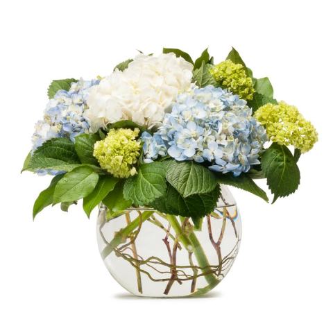 Image for Arizona Florist with ID of: 1357798