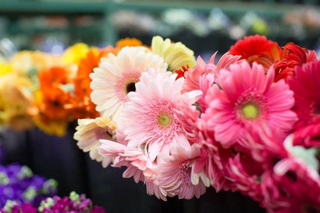 Image for Arizona Flower Market with ID of: 1357814
